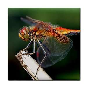  Dragonfly Ceramic Tile Coaster Great Gift Idea: Office 