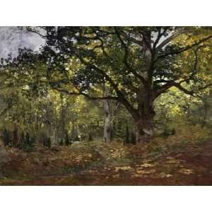  Bodmer Oak, Fontainebleau Forest, 1865 Claude Monet. 14 