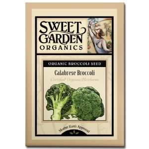  Green Sprouting Calabrese Broccoli   Certified Organic 