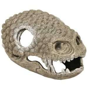  Resin Ornament   Gila Monster Skull   Large