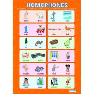  Homophones Extra Large Paper Poster Health & Personal 