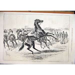  1878 Horse Rearing Falling Jockey Race Course Print
