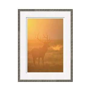  Bull Elk In Tetons Of Wyoming Framed Giclee Print