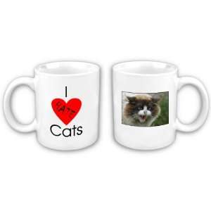  I Hate Cats Coffee Mug: Everything Else