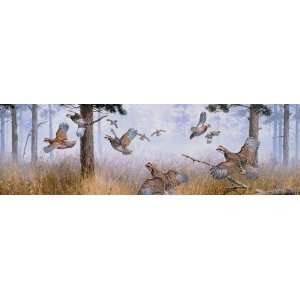  Wild Wings Series Covey Break Window Graphics from 