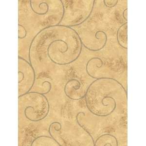  Wallpaper Steves Color Collection Metallic BC1583531