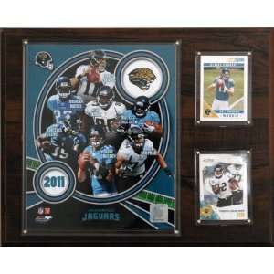  NFL Jacksonville Jaguars 2011 Team Plaque: Sports 