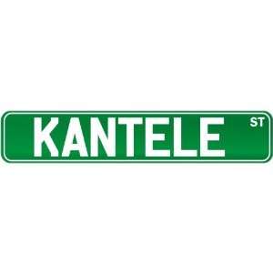  New  Kantele St .  Street Sign Instruments