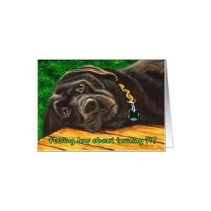  Funny Birthday ~ 71 Years Old ~ Labrador Dog Card: Toys 