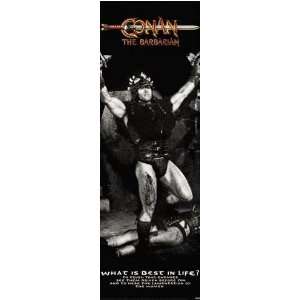  Conan The Barbarian   Door Movie Poster (Arnold 