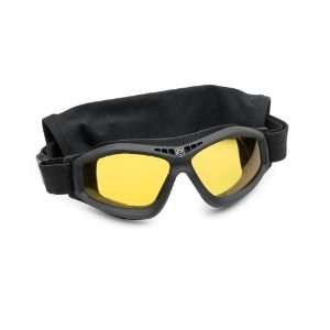 Revision Military Bullet Ant Tactical Goggle Basic Clear  