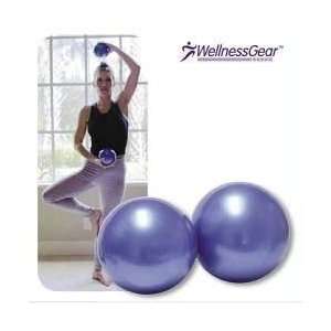  Weighted Balls 1 Pair 1 Lb 