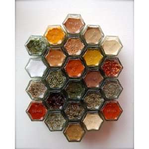Magnetic Spice Rack for your Fridge (Includes 24 EMPTY Jars Hand 