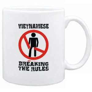   Vietnamese Breaking The Rules  Vietnam Mug Country
