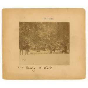  Horse drawn sleds,gold fields,Yukon Territory,c1897