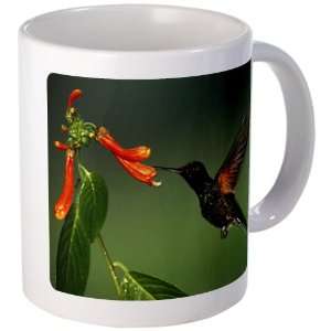  Mug (Coffee Drink Cup) Green Violetear Hummingbird 