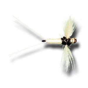  Trico Spinner   Female Fly Fishing Fly