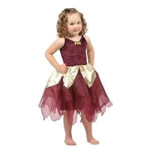    Deep Wood Fairy Deluxe Dress up Costume SMALL(1 3): Toys & Games