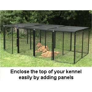  Bronze Series Quad Kennel with top panels: Kitchen 