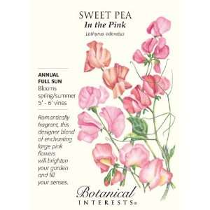  In the Pink Sweet Pea Seeds   3 grams   Annual: Patio 