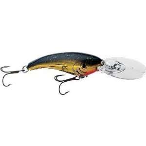  Fishing: Reef Runner Rip Shad: Sports & Outdoors