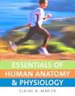 Essentials of Human Anatomy and Physiology by Elaine Nicpon Marieb 