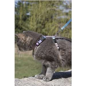  Lupine Small Dog Harness   Cotton Candy 9 14 Pet 
