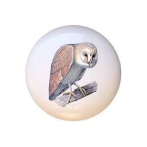  Birds Barn Owl Drawer Pull Knob