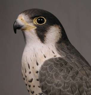 15 Peregrine Falcon Original Bird Carving Wood/Birdhug  