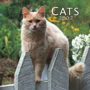  Cats 2007 Mini Calendar (9781421605425) Browntrout 
