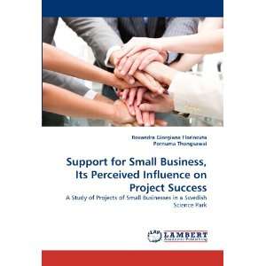 Support for Small Business, Its Perceived Influence on Project Success 