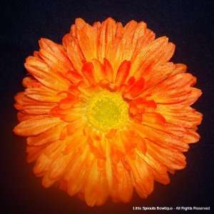 Gerbera Daisy Hair Clip   5.5   Orange