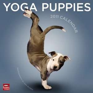  Yoga Puppies Wall Calendar 2011: Home & Kitchen