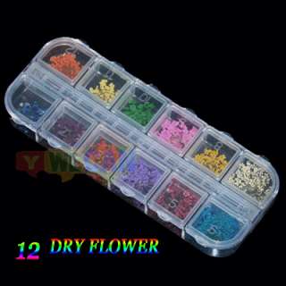 60pcs 3D UV Gel Real Dry Dried Flower Nail art Tips Decoration  
