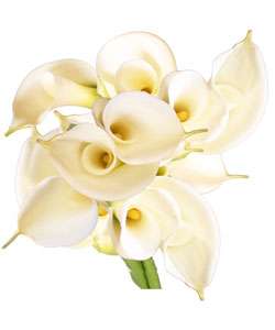 Simply Calla Lilies Bouquet  Overstock
