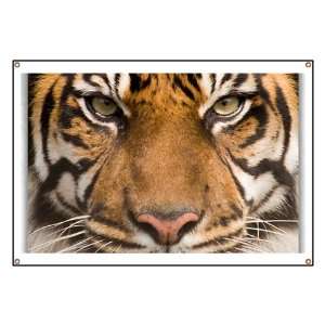  Banner Sumatran Tiger Face 