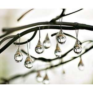 Smith & Hawken Glass Raindrop Ornaments (Set of 24):  Home 