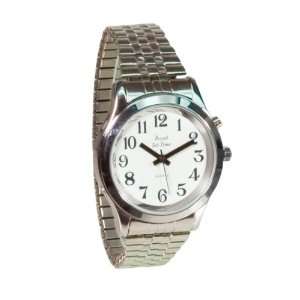   Royal Tel Time Talking Watch 1 Button Chrome: Health & Personal Care