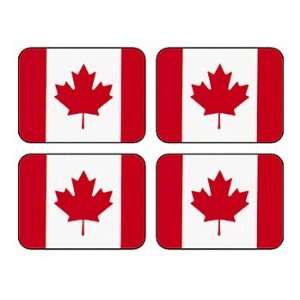    TREND ENTERPRISES CANADIAN FLAG DISCOVERY STICKERS Electronics