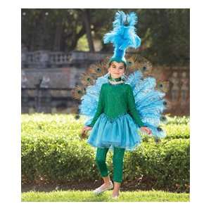  pretty peacock costume Toys & Games