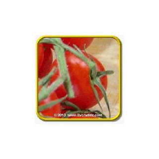 1 Oz Heirloom Tomato Seeds   Riesentraube Bulk Vegetable Seeds 
