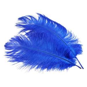  10pcs Home Decor Blue Ostrich Feathers