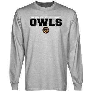  Kennesaw State Owls Ash University Name Long Sleeve T shirt: Sports
