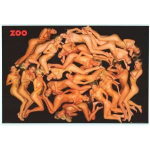 Zoo Girls   Party / College Poster   24 X 36 
