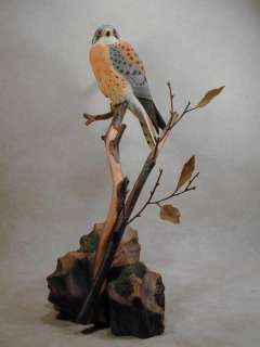American Kestrel Hummingbird Studio Original Carving  