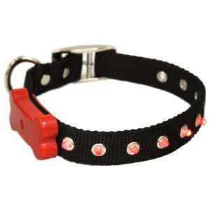  Buztronics Flashing Bone Dog Collar, Red: Pet Supplies