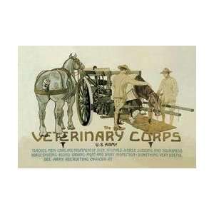  The Veterinary Corps US Army 20x30 poster