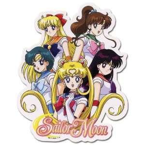  Sailo Moon Sailor Soldiers Group Sticker Toys & Games