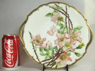 Limoges French Porcelain Handled Cake Plate WILD ROSE Platter 