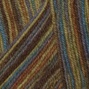   Ply Sock Yarn (4254) Mirage Earth By The Each Arts, Crafts & Sewing